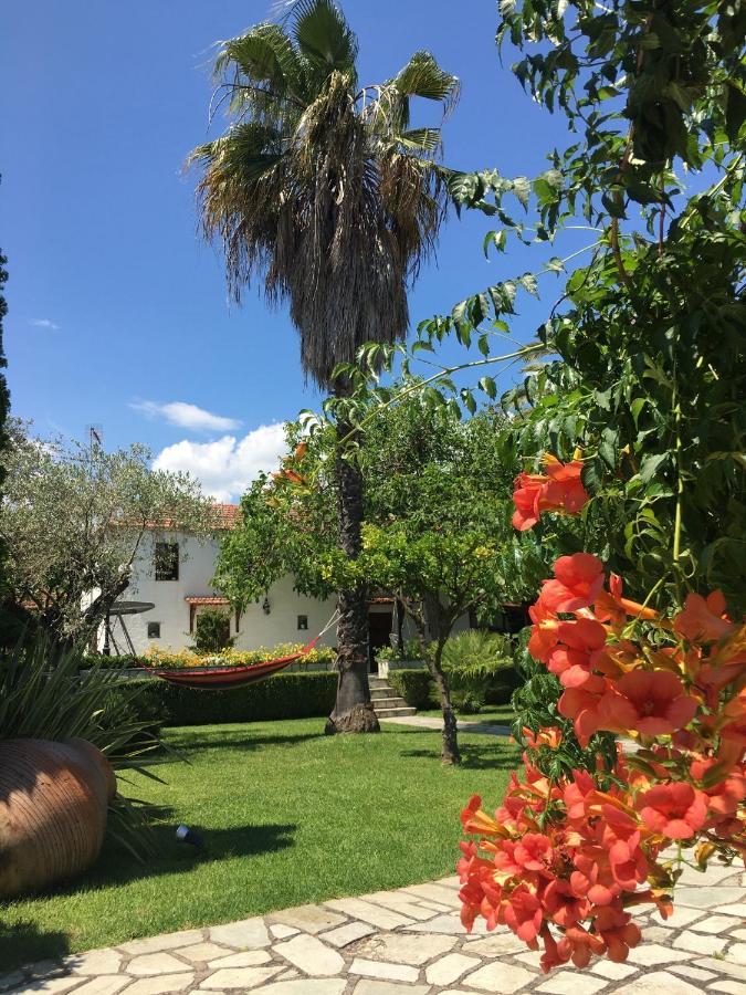 Villa Olive Áno Lekhónia Exteriér fotografie