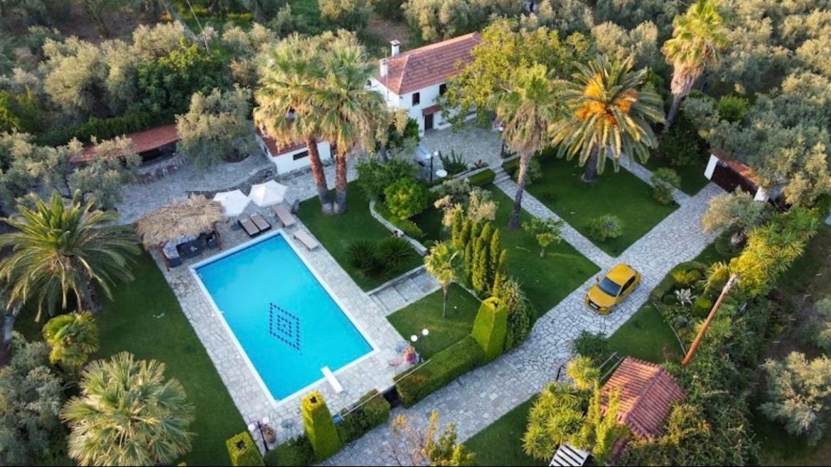 Villa Olive Áno Lekhónia Exteriér fotografie